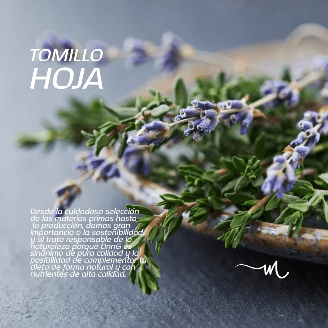 Tomillo Hoja