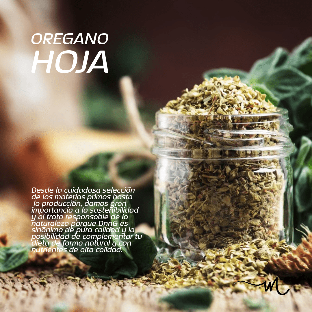 Orégano Hoja