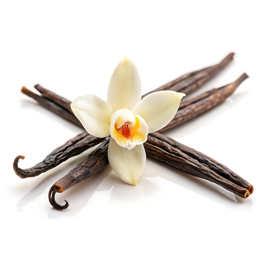 Vainilla Rama: El Tesoro Gastronómico que Transformará tus Recetas