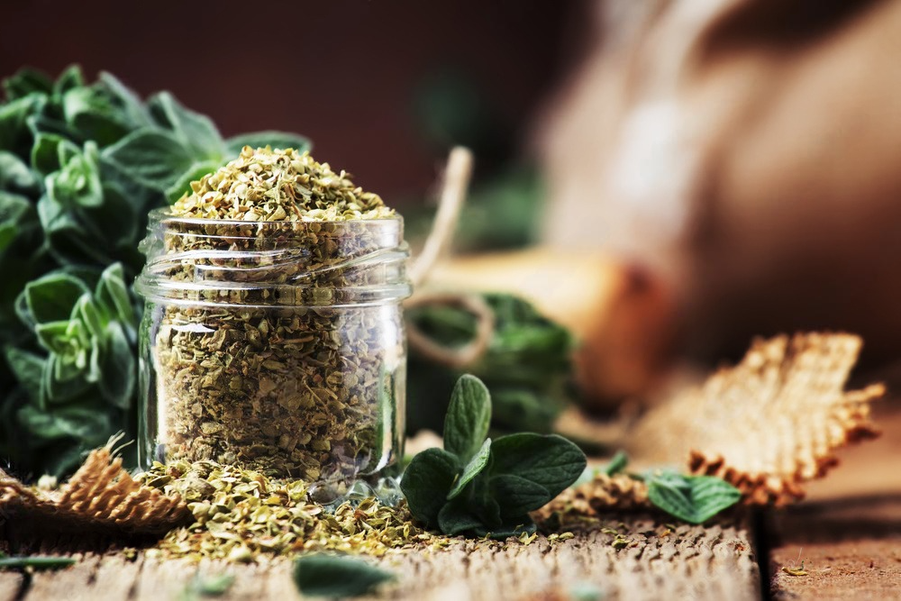 oregano hoja