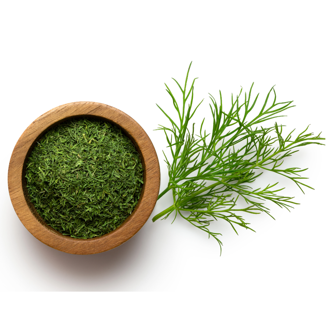 Eneldo hoja