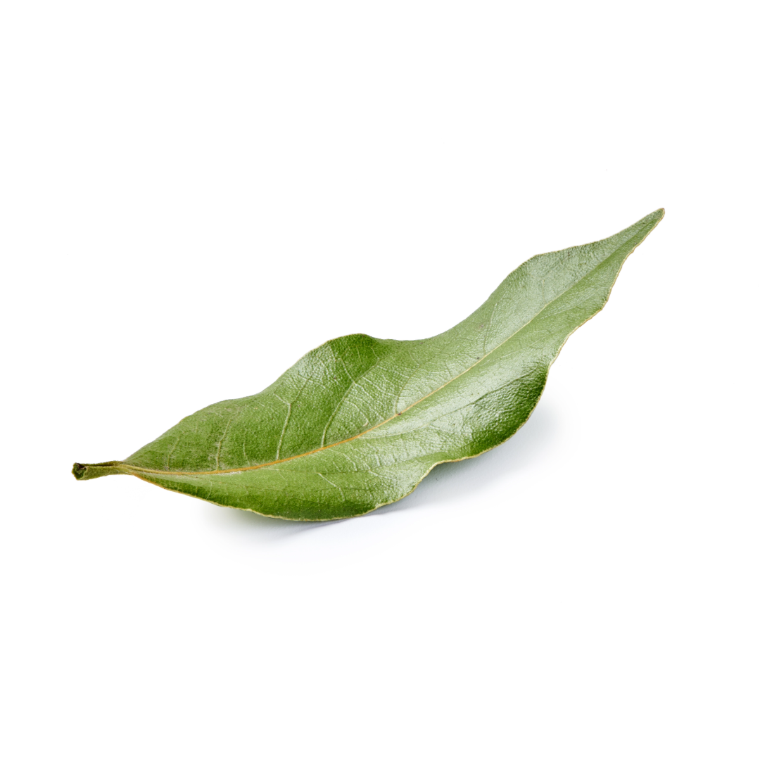 Laurel Hoja