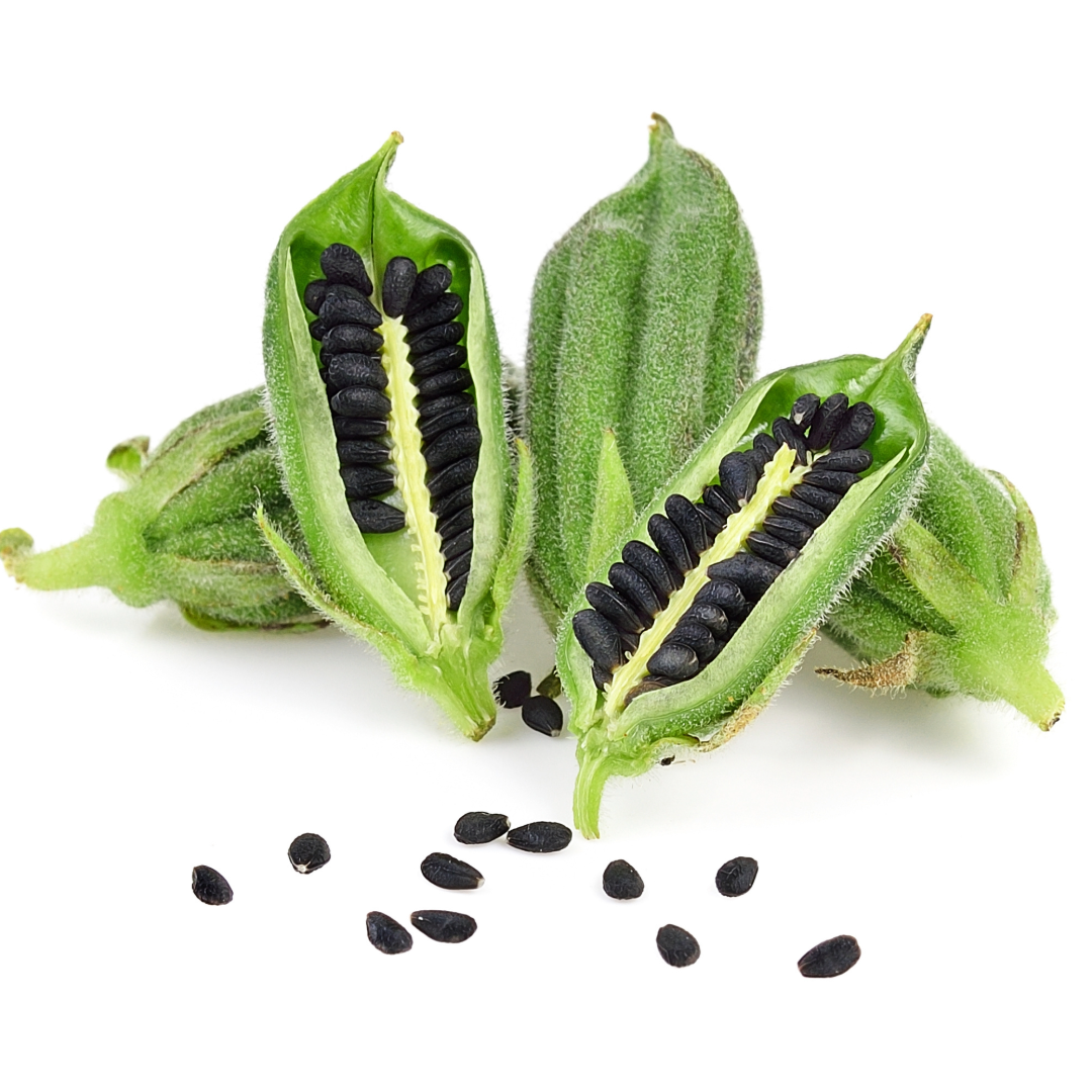 Sésamo Negro