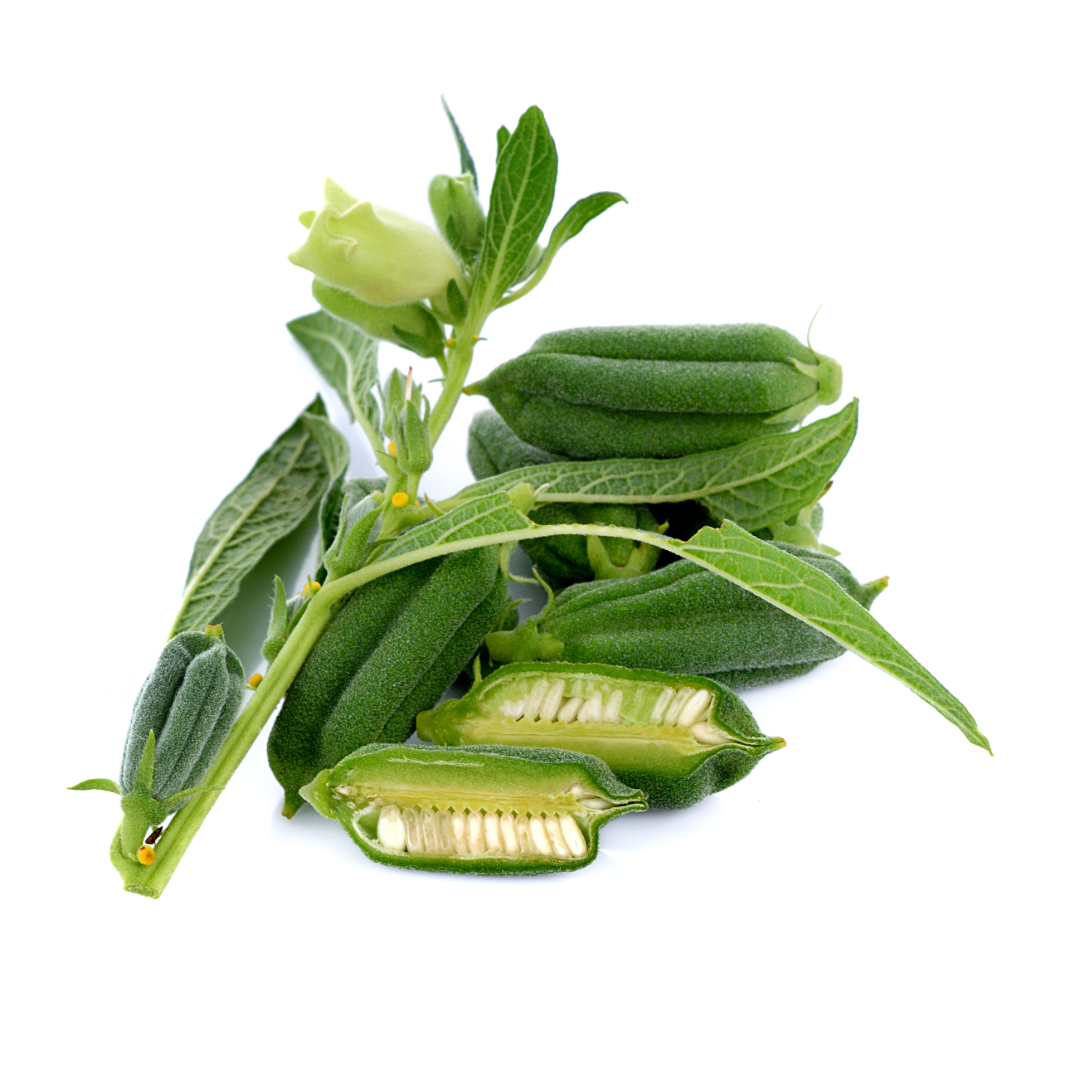 Sésamo Blanco